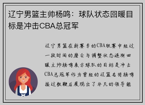 辽宁男篮主帅杨鸣：球队状态回暖目标是冲击CBA总冠军